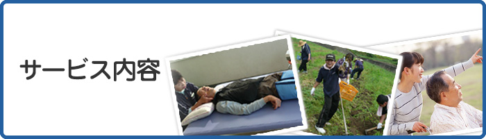 サービス内容